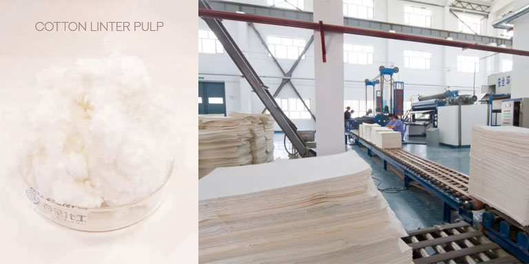 เยื่อฝ้าย (Cotton Linter Pulp)