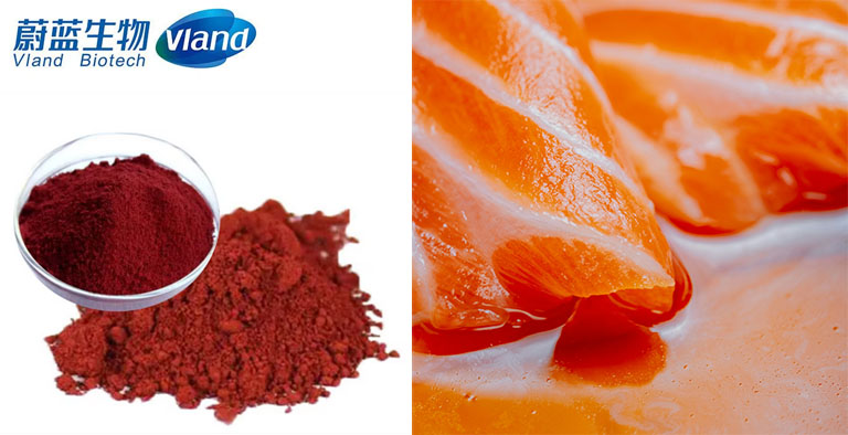 โภชนาการสัตว์น้ำ: astaxanthin เป็นสารเติมแต่งในอาหารสัตว์เพื่อเพิ่มสีสันและคุณภาพ